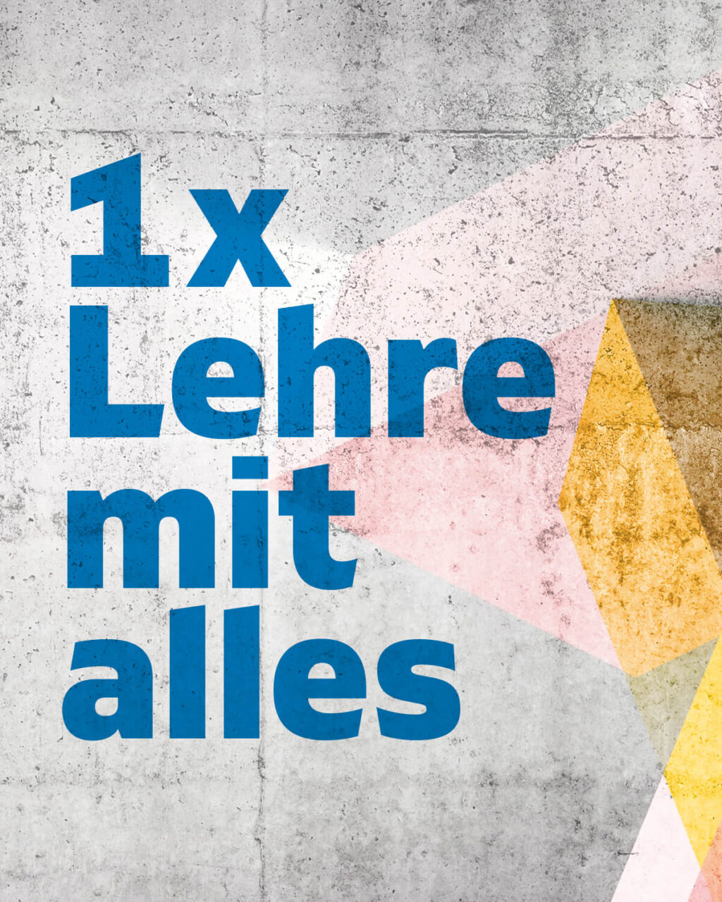 Referenz Haberkorn Lehrlingskampagne 2023 - Baschnegger Ammann & Partner