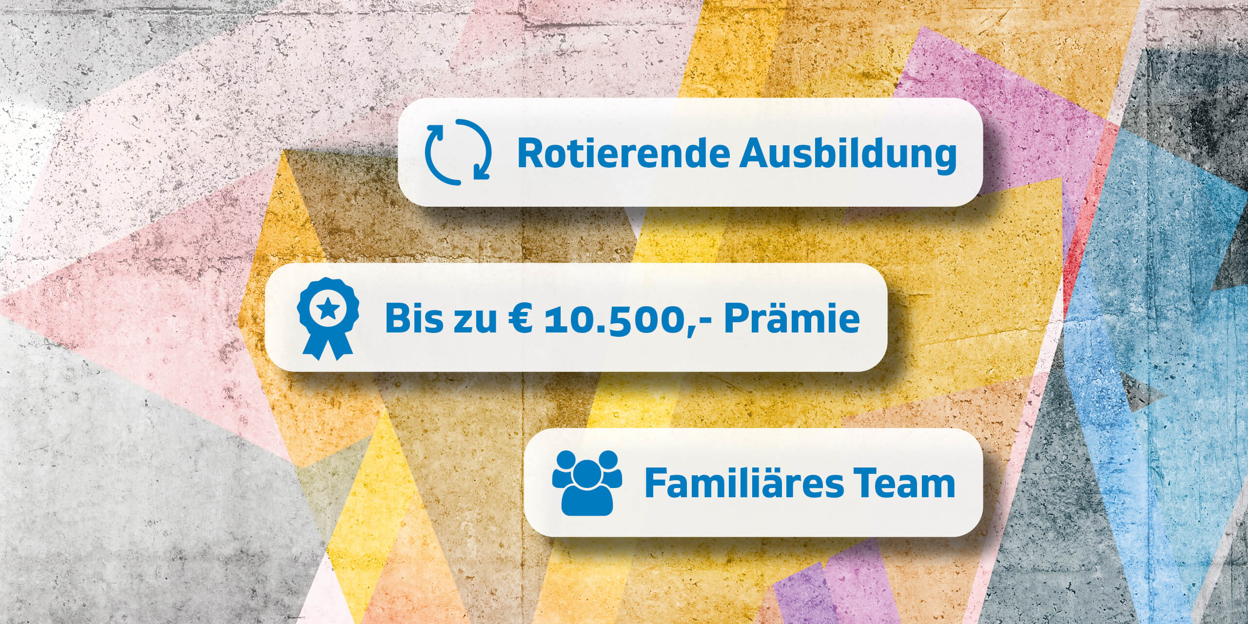 Referenz Haberkorn Lehrlingskampagne 2023 - Baschnegger Ammann & Partner