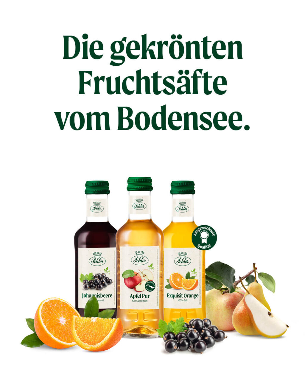 Referenz Schlör - Baschnegger Ammann & Partner