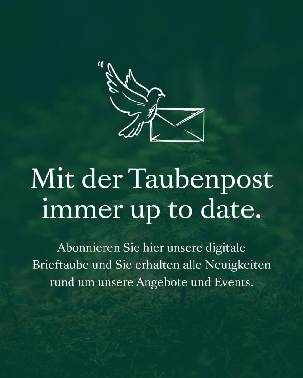 Referenz Posthotel Taube Website - Baschnegger Ammann & Partner
