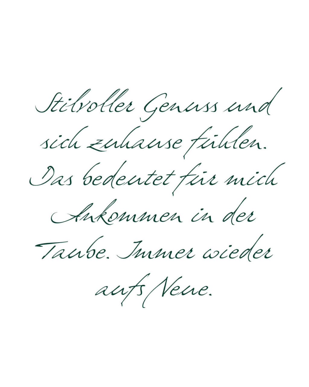 Referenz Posthotel Taube Website - Baschnegger Ammann & Partner