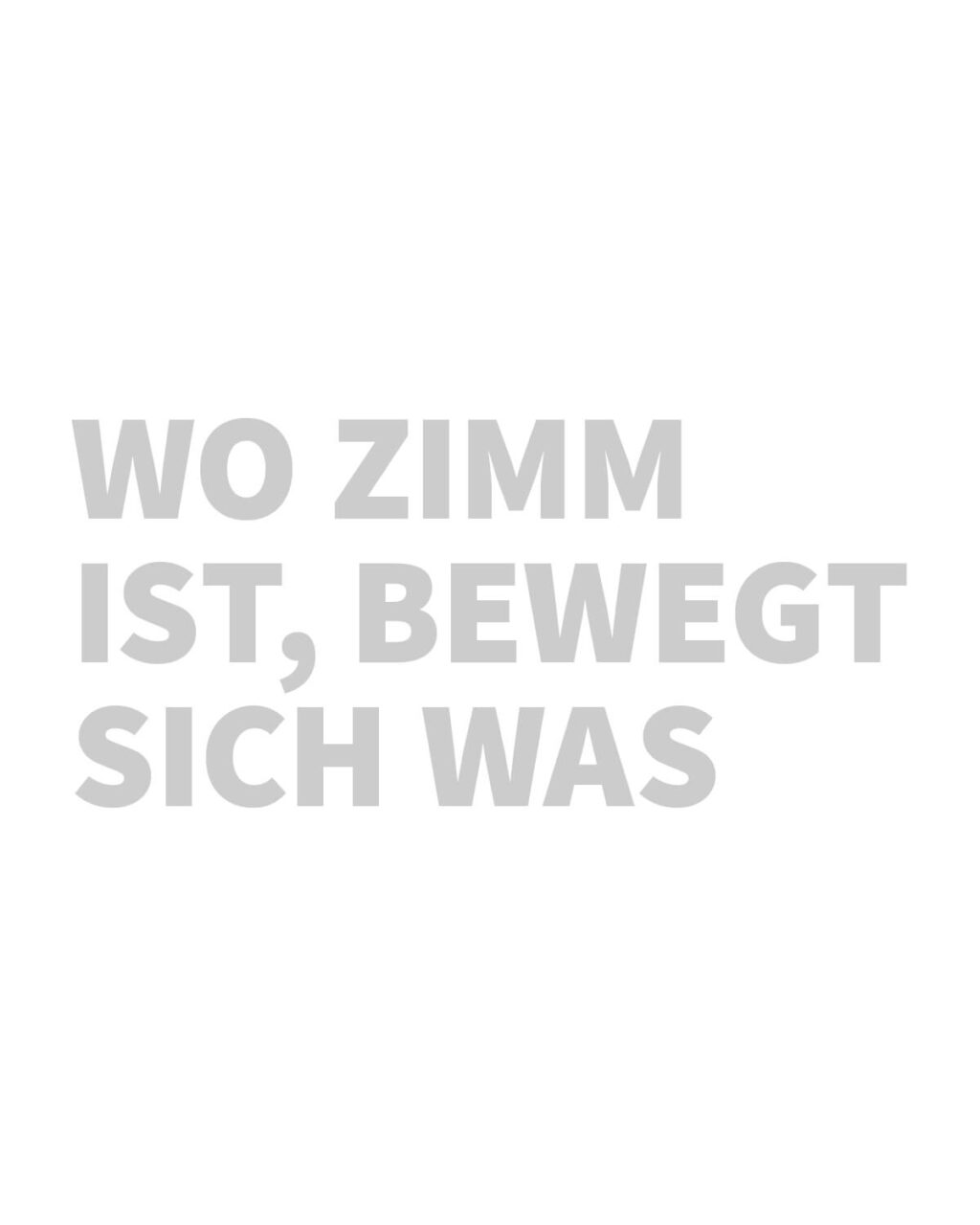 Referenz Zimm Broschüre - Baschnegger Ammann & Partner
